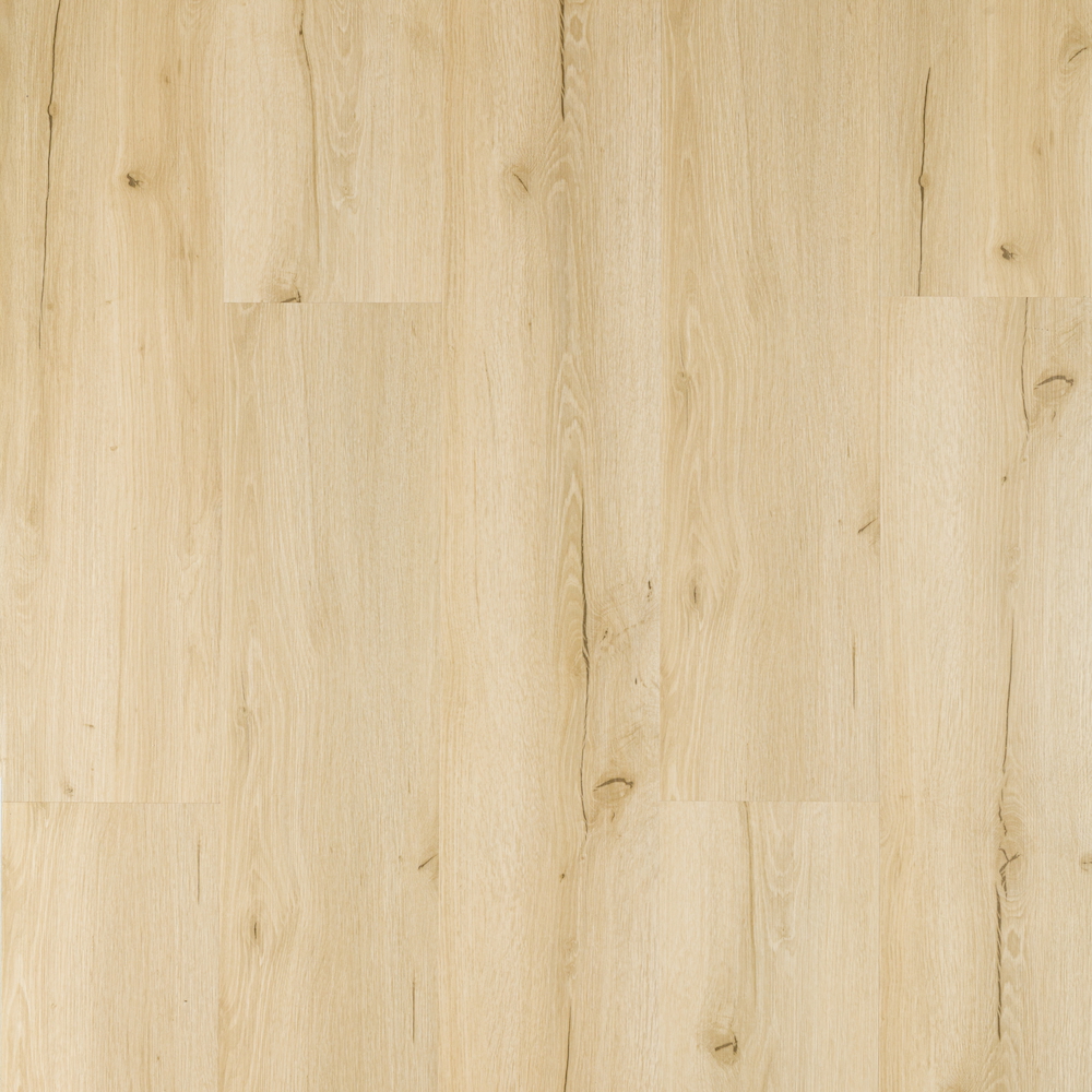 Dub sametový dekor 2